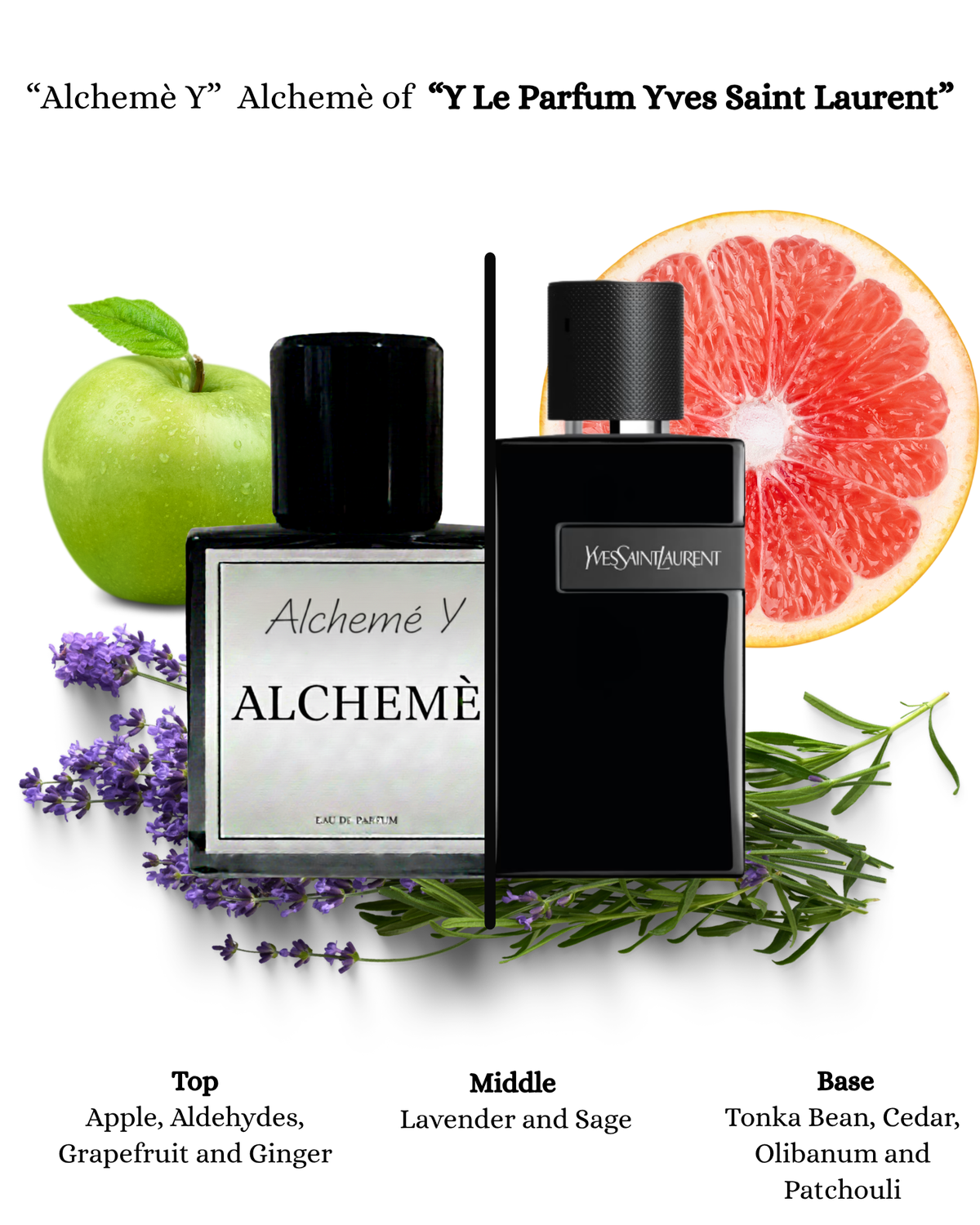 Alcheme Y - dupe YSL Y Eau de Parfum (5ml)