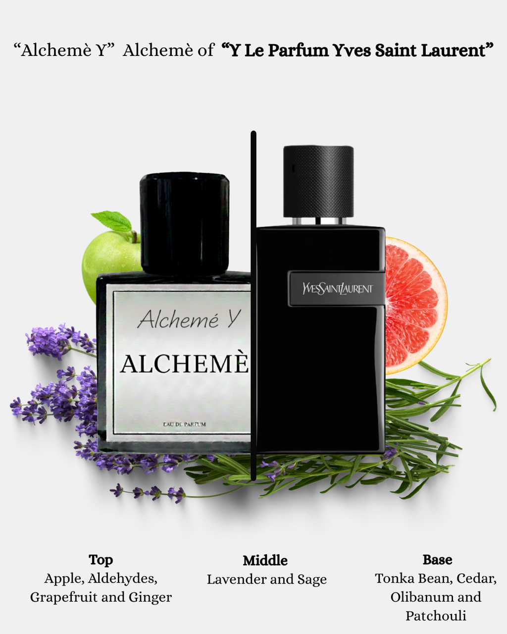 Alcheme Y