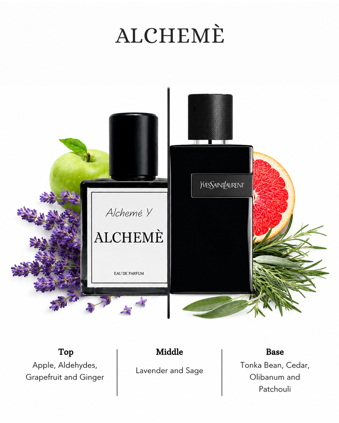 Alcheme Y